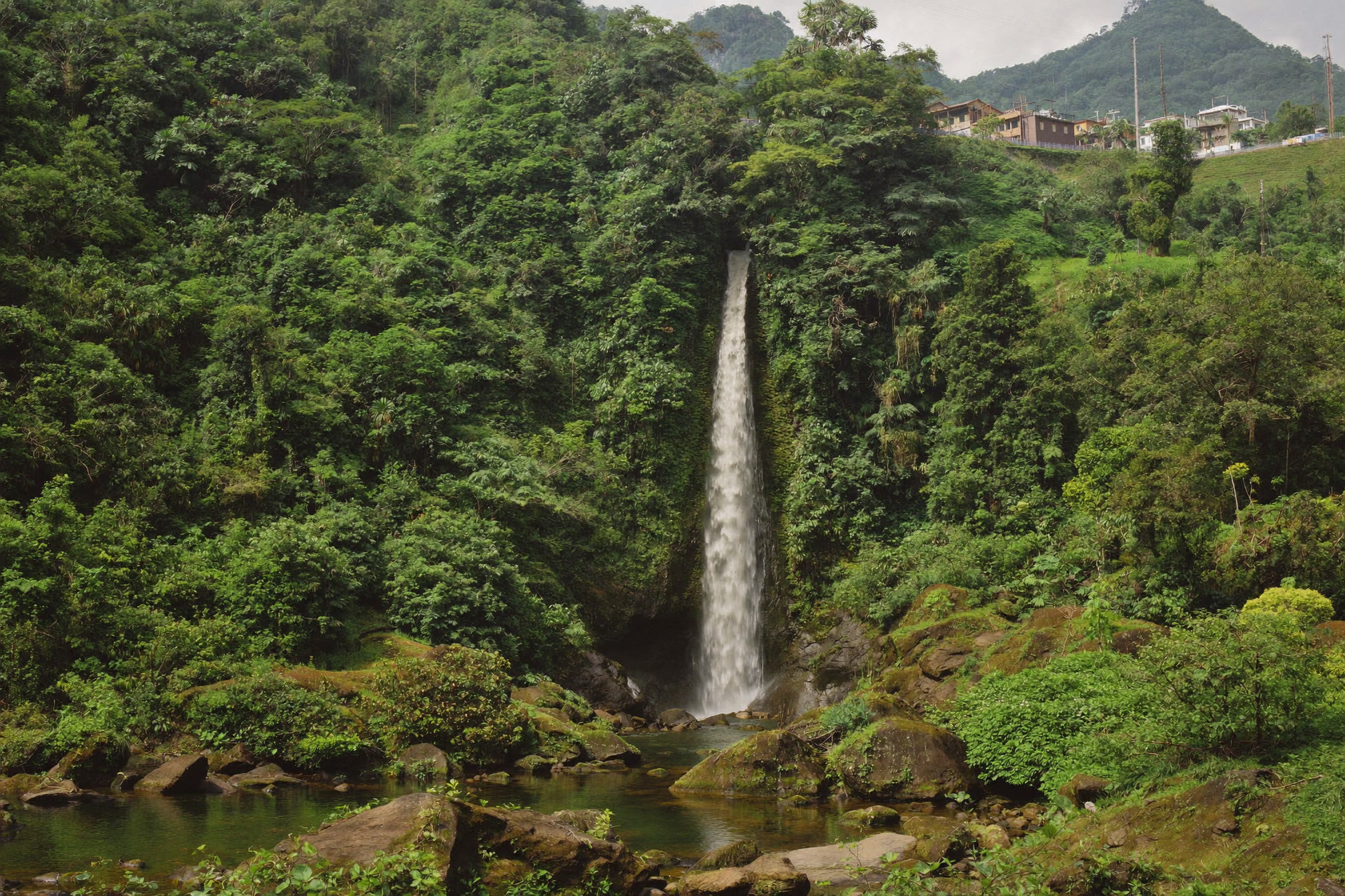 Cocorná